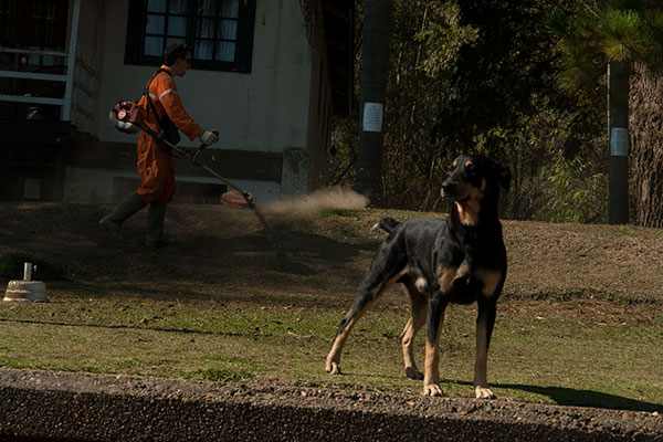 Obra del artista argentino Guillermo Jones - Realidades Manchadas - fotografia Toma directa