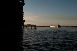 Fotografia. Delta del Parana.