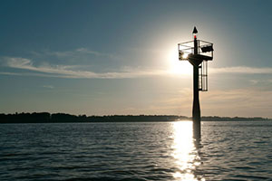 Fotografia. Delta del Parana.