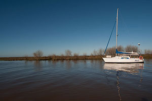 Fotografia. Delta del Parana.