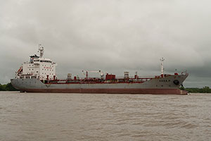 Fotografia. Delta del Parana.