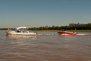 Fotografia. Delta del Parana.