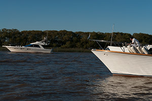 Fotografia. Delta del Parana.