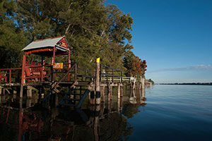 Fotografia. Delta del Parana.